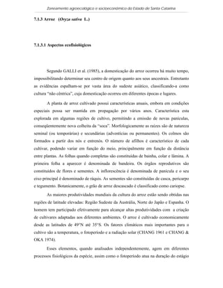 Zoneamento agroecológico e socioeconômico do Estado de Santa Catarina

7.1.3 Arroz (Oryza sativa L.)

   Visualizar

7.1.3.1 Aspectos ecofisiológicos




       Segundo GALLI et al. (1985), a domesticação do arroz ocorreu há muito tempo,
impossibilitando determinar seu centro de origem quanto aos seus ancestrais. Entretanto
as evidências espalham-se por vasta área do sudeste asiático, classificando-a como
cultura “não cêntrica”, cuja domesticação ocorreu em diferentes épocas e lugares.

       A planta de arroz cultivado possui características anuais, embora em condições
especiais possa ser mantida em propagação por vários anos. Característica esta
explorada em algumas regiões de cultivo, permitindo a emissão de novas panículas,
conseqüentemente nova colheita da “soca”. Morfologicamente as raízes são de natureza
seminal (ou temporárias) e secundárias (adventícias ou permanentes). Os colmos são
formados a partir dos nós e entrenós. O número de afilhos é característico de cada
cultivar, podendo variar em função do meio, principalmente em função da distância
entre plantas. As folhas quando completas são constituídas de bainha, colar e lâmina. A
primeira folha a aparecer é denominada de bandeira. Os órgãos reprodutivos são
constituídos de flores e sementes. A inflorescência é denominada de panícula e o seu
eixo principal é denominado de ráquis. As sementes são constituídas de casca, pericarpo
e tegumento. Botanicamente, o grão de arroz descascado é classificado como cariopse.

       As maiores produtividades mundiais da cultura do arroz estão sendo obtidas nas
regiões de latitude elevadas: Região Sudeste da Austrália, Norte do Japão e Espanha. O
homem tem participado efetivamente para alcançar altas produtividades com a criação
de cultivares adaptadas aos diferentes ambientes. O arroz é cultivado economicamente
desde as latitudes de 49°N até 35°S. Os fatores climáticos mais importantes para o
cultivo são a temperatura, o fotoperíodo e a radiação solar (CHANG 1961 e CHANG &
OKA 1974).

       Esses elementos, quando analisados independentemente, agem em diferentes
processos fisiológicos da espécie, assim como o fotoperíodo atua na duração do estágio
 