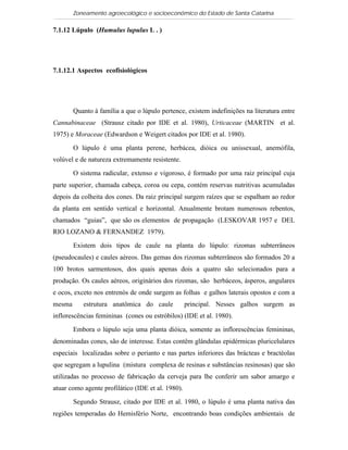 Zoneamento agroecológico e socioeconômico do Estado de Santa Catarina

7.1.12 Lúpulo (Humulus lupulus L . )

 Visualizar


7.1.12.1 Aspectos ecofisiológicos




        Quanto à família a que o lúpulo pertence, existem indefinições na literatura entre
Cannabinaceae (Strausz citado por IDE et al. 1980), Urticaceae (MARTIN et al.
1975) e Moraceae (Edwardson e Weigert citados por IDE et al. 1980).

        O lúpulo é uma planta perene, herbácea, dióica ou unissexual, anemófila,
volúvel e de natureza extremamente resistente.

        O sistema radicular, extenso e vigoroso, é formado por uma raiz principal cuja
parte superior, chamada cabeça, coroa ou cepa, contém reservas nutritivas acumuladas
depois da colheita dos cones. Da raiz principal surgem raízes que se espalham ao redor
da planta em sentido vertical e horizontal. Anualmente brotam numerosos rebentos,
chamados “guias”, que são os elementos de propagação (LESKOVAR 1957 e DEL
RIO LOZANO & FERNANDEZ 1979).

        Existem dois tipos de caule na planta do lúpulo: rizomas subterrâneos
(pseudocaules) e caules aéreos. Das gemas dos rizomas subterrâneos são formados 20 a
100 brotos sarmentosos, dos quais apenas dois a quatro são selecionados para a
produção. Os caules aéreos, originários dos rizomas, são herbáceos, ásperos, angulares
e ocos, exceto nos entrenós de onde surgem as folhas e galhos laterais opostos e com a
mesma      estrutura anatômica do caule            principal. Nesses galhos surgem as
inflorescências femininas (cones ou estróbilos) (IDE et al. 1980).

        Embora o lúpulo seja uma planta dióica, somente as inflorescências femininas,
denominadas cones, são de interesse. Estas contêm glândulas epidérmicas pluricelulares
especiais localizadas sobre o perianto e nas partes inferiores das brácteas e bractéolas
que segregam a lupulina (mistura complexa de resinas e substâncias resinosas) que são
utilizadas no processo de fabricação da cerveja para lhe conferir um sabor amargo e
atuar como agente profilático (IDE et al. 1980).

        Segundo Strausz, citado por IDE et al. 1980, o lúpulo é uma planta nativa das
regiões temperadas do Hemisfério Norte, encontrando boas condições ambientais de
 