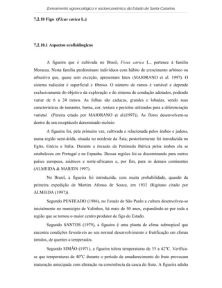 Zoneamento agroecológico e socioeconômico do Estado de Santa Catarina

7.2.10 Figo (Ficus carica L.)

 Visualizar


7.2.10.1 Aspectos ecofisiólogicos


       A figueira que é cultivada no Brasil, Ficus carica L., pertence à família
Moracea. Nesta família predominam indivíduos com hábito de crescimento arbóreo ou
arbustivo que, quase sem exceção, apresentam látex (MAIORANO et al. 1997). O
sistema radicular é superficial e fibroso. O número de ramos é variável e depende
exclusivamente do objetivo da exploração e do sistema de condução adotados, podendo
variar de 6 a 24 ramos. As folhas são caducas, grandes e lobadas, sendo suas
características de tamanho, forma, cor, textura e pecíolos utilizados para a diferenciação
varietal   (Pereira citado por MAIORANO et al.(1997)). As flores desenvolvem-se
dentro de um receptáculo denominado sicônio.

       A figueira foi, pela primeira vez, cultivada e relacionada pelos árabes e judeus,
numa região semi-árida, situada no nordeste da Ásia; posteriormente foi introduzida no
Egito, Grécia e Itália. Durante a invasão da Península Ibérica pelos árabes ela se
estabeleceu em Portugal e na Espanha. Dessas regiões foi-se disseminando para outros
países europeus, asiáticos e norte-africanos e, por fim, para os demais continentes
(ALMEIDA & MARTIN 1997).

       No Brasil, a figueira foi introduzida, com muita probabilidade, quando da
primeira expedição de Martim Afonso de Souza, em 1932 (Rigitano citado por
ALMEIDA (1997)).

       Segundo PENTEADO (1986), no Estado de São Paulo a cultura desenvolveu-se
inicialmente no município de Valinhos, há mais de 50 anos, expandindo-se por toda a
região que se tornou o maior centro produtor de figo do Estado.

       Segundo SANTOS (1979), a figueira é uma planta de clima subtropical que
encontra condições favoráveis ao seu normal desenvolvimento e frutificação em climas
úmidos, de quentes a temperados.

       Segundo SIMÃO (1971), a figueira tolera temperaturas de 35 a 42°C. Verifica-
se que temperaturas de 40°C durante o período de amadurecimento do fruto provocam
maturação antecipada com alteração na consistência da casca do fruto. A figueira adulta
 