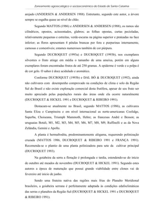 Zoneamento agroecológico e socioeconômico do Estado de Santa Catarina

arejado (ANDERSEN & ANDERSEN 1988). Entretanto, segundo este autor, a árvore
sempre se esgalha quase ao nível do chão.

       Segundo MATTOS (1986) e ANDERSEN & ANDERSEN (1988), os ramos são
cilíndricos, opostos, acinzentados, glabros; as folhas opostas, curtas pecioladas,
relativamente pequenas e estreitas, verde-escuras na página superior e prateadas na face
inferior; as flores apresentam 4 pétalas brancas por fora e purpurinas internamente,
carnosas e comestíveis; estames numerosos também de cor púrpura.

       Segundo DUCROQUET (1993a) e DUCROQUET (1993b), nos exemplares
silvestres o fruto atinge em média o tamanho de uma ameixa, porém em alguns
exemplares foram encontradas frutos de até 250 gramas. A epiderme é verde e a polpa é
de cor gelo. O sabor é doce acidulado e aromático.

       Conforme DUCROQUET (1993b) e DAL BÓ & DUCROQUET (1992), ainda
não cultivares com desempenho comprovado na condições de clima e solo da Região
Sul do Brasil e não existe exploração comercial desta frutífera, apesar de seu fruto ser
muito apreciado pelas populações rurais das áreas onde ela ocorre naturalmente
(DUCROQUET & HICKEL 1991 e DUCROQUET & RIBEIRO 1991).

       Destacam-se atualmente no Brasil, segundo MATTOS (1986), as cultivares
Santa Eliza e Campineira e em nível internacional as norte-americanas Coolidge,
Superba, Choiseana, Triumph Mammoth, Hehre; as francesas André e Besson; as
uruguaias Botali, M1, M2, M3, M4, M5, M6, M7, M8, M9, Ruffinelli e as da Nova
Zelândia, Gemini e Apollo.

       A planta é hermafrodita, predominantemente alógama, requerendo polinização
cruzada (MATTOS 1986, DUCROQUET & RIBEIRO 1991 e FRANÇA 1991).
Recomenda-se o plantio de uma planta polinizadora para sete da cultivar principal
(DUCROQUET 1993).

       Na goiabeira da serra a floração é prolongada e tardia, estendendo-se do início
de outubro até meados de novembro (DUCROQUET & HICKEL 1991). Segundo estes
autores a época de maturação que possui grande viabilidade entre clones vai de
fevereiro até início de junho.

       Sendo uma fruteira nativa das regiões mais frias do Planalto Meridional
brasileiro, a goiabeira serrana é perfeitamente adaptada às condições edafoclimáticas
das serras e planaltos da Região Sul (DUCROQUET & HICKEL 1991 e DUCROQUET
& RIBEIRO 1991).
 