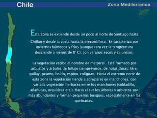 E sta zona se extiende desde un poco al norte de Santiago hasta Chillán y desde la costa hasta la precordillera.  Se  caracteriza por inviernos húmedos y fríos (aunque rara vez la temperatura desciende a menos de 0° C), con veranos secos y calurosos.   La vegetación recibe el nombre de matorral.  Está formado por arbustos y árboles de follaje siempreverde, de hojas duras: litre, quillay, peumo, boldo, espino, coliguay.  Hacia el extremo norte de esta zona la vegetación tiende a agruparse en manchones, con variada vegetación herbácea entre los manchones (soldadillo, añañucas, orquídeas etc.)  Hacia el sur los árboles y arbustos son más abundantes y forman pequeños bosques, especialmente en las quebradas.   