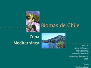 Biomas de Chile Zona Mediterránea Autores Alicia Hoffmann. Pablo Sánchez. Centro de Recursos Educativos Avanzados, CREA. Diseño Carolina López. 