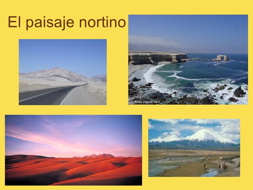Zona norte