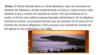 Clima: El Norte Grande tiene un clima desértico. Aquí se encuentra el
desierto de Atacama, donde prácticamente no llueve y hace mucho calor
durante el día y mucho frío durante la noche. Por las mañanas en la
costa, se forma una neblina espesa llamada camanchaca. En el altiplano,
durante el verano, se producen lluvias que se conocen en la zona con el
nombre de invierno altiplánico. Esto provoca una importante crecida de
las aguas en las quebradas y los valles.
 