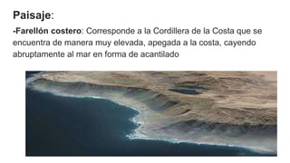 Paisaje:
-Farellón costero: Corresponde a la Cordillera de la Costa que se
encuentra de manera muy elevada, apegada a la costa, cayendo
abruptamente al mar en forma de acantilado
 