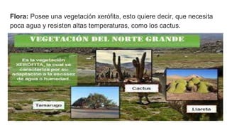 Flora: Posee una vegetación xerófita, esto quiere decir, que necesita
poca agua y resisten altas temperaturas, como los cactus.
 