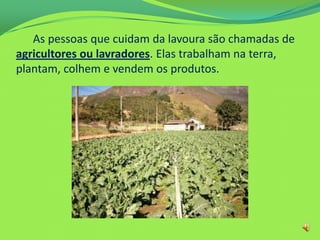 As pessoas que cuidam da lavoura são chamadas de
agricultores ou lavradores. Elas trabalham na terra,
plantam, colhem e vendem os produtos.
 