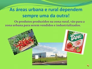 As áreas urbana e rural dependem
sempre uma da outra!
Os produtos produzidos na zona rural, vão para a
zona urbana para serem vendidos e industrializados.
 