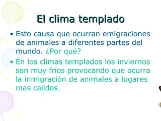 El clima templado Esto causa que ocurran emigraciones de animales a diferentes partes del mundo.  ¿Por qué? En los climas templados los inviernos son muy fríos provocando que ocurra la inmigración de animales a lugares mas calidos. 