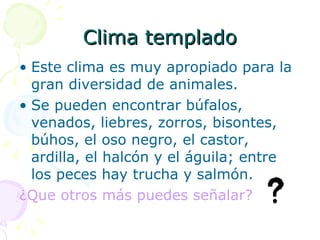Clima templado Este clima es muy apropiado para la gran diversidad de animales. Se pueden encontrar búfalos, venados, liebres, zorros, bisontes, búhos, el oso negro, el castor, ardilla, el halcón y el águila; entre los peces hay trucha y salmón.  ¿ Que otros más puedes señalar?  