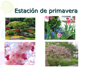 Estación de primavera 