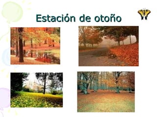 Estación de otoño 