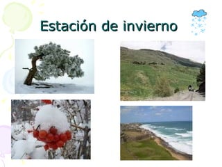 Estación de invierno  