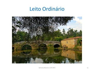 Leito Ordinário
Adriana Martins 11ºA Nº2 11
 