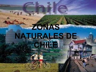ZONAS
NATURALES DE
CHILE
 
