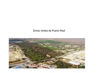 Zonas verdes de Puerto Real 