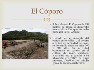 El Cóporo
    
     Sobre el cerro El Cóporo de 156
      metros de altura se desarrolló
      una civilización que formaba
      parte del Tunal Grande.

     Ubicado en el noroeste del
      estado entre valles y el bosque
      a 60 km de la ciudad de León,
      se desarrolló entre los años 200
      y 900 d.C. Su actividad
      económica se basaba en el
      cultivo de maíz, calabaza,
      amaranto, etc. y gracias a su
      ubicación geográfica se pudo
      proteger, y acceder a un amplia
      gama de recursos naturales.
 
