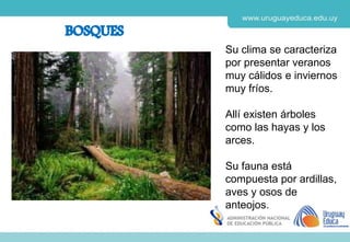Derechos de autor y Licencias
Agosto 2018
CES
Su clima se caracteriza
por presentar veranos
muy cálidos e inviernos
muy fríos.
Allí existen árboles
como las hayas y los
arces.
Su fauna está
compuesta por ardillas,
aves y osos de
anteojos.
 