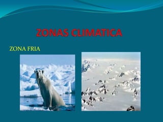 ZONAS CLIMATICA    ZONA FRIA 