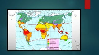 Zonas Climaticas.pptx..pptx
