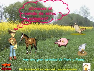 Hay una gran variedad de Flora y Fauna . ¿ Conoces el sonido de estos animales?.  Haz clic sobre el icono de sonido  para escucharlos . 