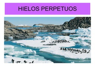 HIELOS PERPETUOS 