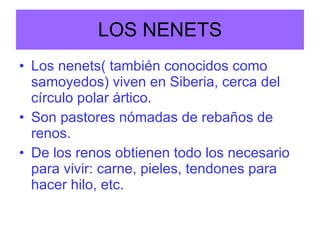 LOS NENETS Los nenets( también conocidos como samoyedos) viven en Siberia, cerca del círculo polar ártico. Son pastores nómadas de rebaños de renos. De los renos obtienen todo los necesario para vivir: carne, pieles, tendones para hacer hilo, etc. 