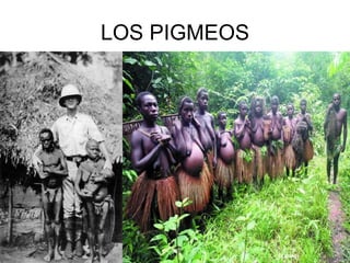 LOS PIGMEOS 