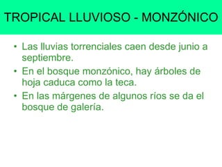 TROPICAL LLUVIOSO - MONZÓNICO Las lluvias torrenciales caen desde junio a septiembre. En el bosque monzónico, hay árboles de hoja caduca como la teca. En las márgenes de algunos ríos se da el bosque de galería. 