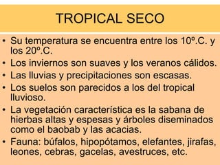 TROPICAL SECO Su temperatura se encuentra entre los 10º.C. y los 20º.C. Los inviernos son suaves y los veranos cálidos. Las lluvias y precipitaciones son escasas. Los suelos son parecidos a los del tropical lluvioso. La vegetación característica es la sabana de hierbas altas y espesas y árboles diseminados como el baobab y las acacias. Fauna: búfalos, hipopótamos, elefantes, jirafas, leones, cebras, gacelas, avestruces, etc.  