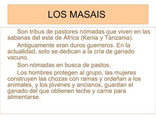 LOS MASAIS  Son tribus de pastores nómadas que viven en las sabanas del este de África (Kenia y Tanzania). Antiguamente eran duros guerreros. En la actualidad, solo se dedican a la cría de ganado vacuno. Son nómadas en busca de pastos. Los hombres protegen al grupo, las mujeres construyen las chozas con ramas y ordeñan a los animales, y los jóvenes y ancianos, guardan el ganado del que obtienen leche y carne para alimentarse. 