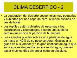 CLIMA DESERTICO - 2 La vegetación del desierto posee hojas muy pequeñas y cubiertas por una capa de cera, o tienen espinas en vez de hojas Los reptiles están cubiertos de escamas y los escorpiones y escarabajos, poseen una cubierta cerosa que impide la pérdida de humedad. Los camellos pueden sobrevivir a pérdidas de agua de hasta un 40% de su peso corporal. Gracias a la grasa de sus jorobas y a la gran cantidad de agua que son capaces de guardar en sus estómagos, pueden pasar muchos días sin beber nada en absoluto. 