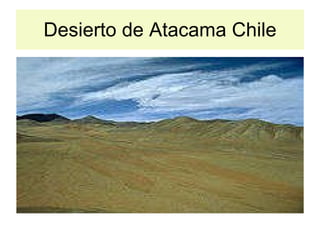 Desierto de Atacama Chile 