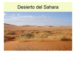 Desierto del Sahara 