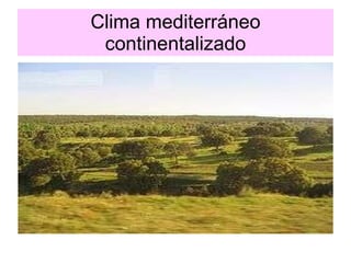 Clima mediterráneo continentalizado 