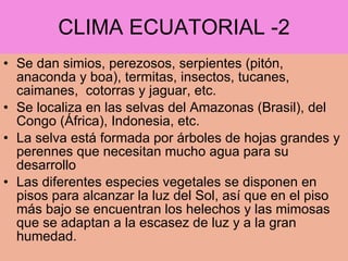 CLIMA ECUATORIAL -2 Se dan simios, perezosos, serpientes (pitón, anaconda y boa), termitas, insectos, tucanes, caimanes,  cotorras y jaguar, etc. Se localiza en las selvas del Amazonas (Brasil), del Congo (África), Indonesia, etc. La selva está formada por árboles de hojas grandes y perennes que necesitan mucho agua para su desarrollo Las diferentes especies vegetales se disponen en pisos para alcanzar la luz del Sol, así que en el piso más bajo se encuentran los helechos y las mimosas que se adaptan a la escasez de luz y a la gran humedad. 