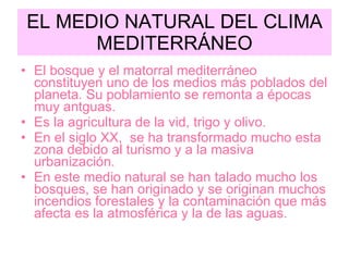 EL MEDIO NATURAL DEL CLIMA MEDITERRÁNEO El bosque y el matorral mediterráneo constituyen uno de los medios más poblados del planeta. Su poblamiento se remonta a épocas muy antguas. Es la agricultura de la vid, trigo y olivo. En el siglo XX,  se ha transformado mucho esta zona debido al turismo y a la masiva urbanización. En este medio natural se han talado mucho los bosques, se han originado y se originan muchos incendios forestales y la contaminación que más afecta es la atmosférica y la de las aguas. 