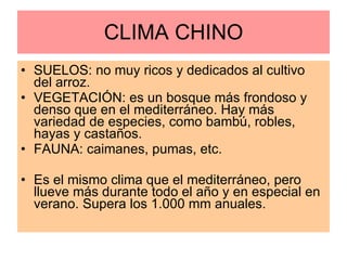 CLIMA CHINO SUELOS: no muy ricos y dedicados al cultivo del arroz. VEGETACIÓN: es un bosque más frondoso y denso que en el mediterráneo. Hay más variedad de especies, como bambú, robles, hayas y castaños. FAUNA: caimanes, pumas, etc. Es el mismo clima que el mediterráneo, pero llueve más durante todo el año y en especial en verano. Supera los 1.000 mm anuales. 