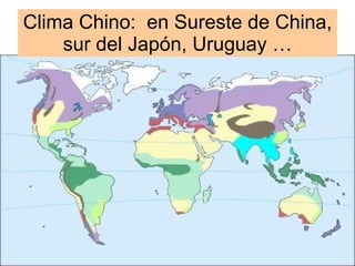Clima Chino:  en Sureste de China, sur del Japón, Uruguay … 