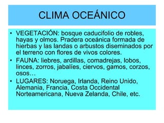 CLIMA OCEÁNICO VEGETACIÓN: bosque caducifolio de robles, hayas y olmos. Pradera oceánica formada de hierbas y las landas o arbustos diseminados por el terreno con flores de vivos colores. FAUNA: liebres, ardillas, comadrejas, lobos, linces, zorros, jabalíes, ciervos, gamos, corzos, osos… LUGARES: Noruega, Irlanda, Reino Unido, Alemania, Francia, Costa Occidental Norteamericana, Nueva Zelanda, Chile, etc. 
