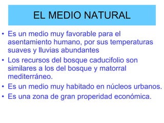 EL MEDIO NATURAL Es un medio muy favorable para el asentamiento humano, por sus temperaturas suaves y lluvias abundantes Los recursos del bosque caducifolio son similares a los del bosque y matorral mediterráneo. Es un medio muy habitado en núcleos urbanos. Es una zona de gran properidad económica. 