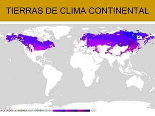 TIERRAS DE CLIMA CONTINENTAL 