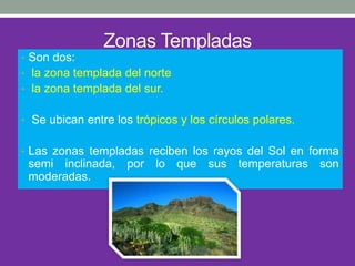 Zonas Templadas
• Son dos:
• la zona templada del norte
• la zona templada del sur.
• Se ubican entre los trópicos y los círculos polares.
• Las zonas templadas reciben los rayos del Sol en forma
semi inclinada, por lo que sus temperaturas son
moderadas.
 