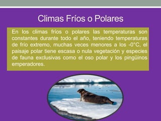 Climas Fríos o Polares
• En los climas fríos o polares las temperaturas son
constantes durante todo el año, teniendo temperaturas
de frío extremo, muchas veces menores a los -0°C, el
paisaje polar tiene escasa o nula vegetación y especies
de fauna exclusivas como el oso polar y los pingüinos
emperadores.
 