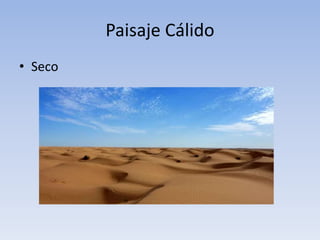 Paisaje Cálido
• Seco
 