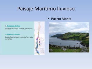Paisaje Marítimo lluvioso
• Puerto Montt
 