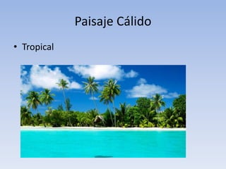 Paisaje Cálido
• Tropical
 
