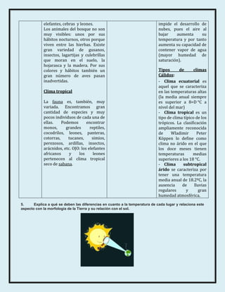 elefantes, cebras y leones.                                      impide el desarrollo de
            Los animales del bosque no son                                   nubes, pues el aire al
            muy visibles: unos por sus                                       bajar    aumenta     su
            hábitos nocturnos, otros porque                                  temperatura y por tanto
            viven entre las hierbas. Existe                                  aumenta su capacidad de
            gran variedad de gusanos,                                        contener vapor de agua
            insectos, lagartijas y culebrillas                               (mayor humedad de
            que moran en el suelo, la                                        saturación).
            hojarasca y la madera. Por sus
            colores y hábitos también un                                     Tipos       de      climas
            gran número de aves pasan                                        Cálidos:
            inadvertidas.                                                    - Clima ecuatorial es
                                                                             aquel que se caracteriza
            Clima tropical                                                   en las temperaturas altas
                                                                             (la media anual siempre
            La fauna es, también, muy                                        es superior a 8=D °C a
            variada. Encontramos gran                                        nivel del mar)
            cantidad de especies y muy                                       - Clima tropical es un
            pocos individuos de cada una de                                  tipo de clima típico de los
            ellas.    Podemos       encontrar                                trópicos. La clasificación
            monos,      grandes       reptiles,                              ampliamente reconocida
            cocodrilos, leones, panteras,                                    de     Wladimir       Peter
            cotorras,    tucanes,      simios,                               Köppen lo define como
            perezosos, ardillas, insectos,                                   clima no árido en el que
            arácnidos, etc. OJO: los elefantes                               los doce meses tienen
            africanos     y    los      leones                               temperaturas       medias
            pertenecen al clima tropical                                     superiores a los 18 °C.
            seco de sabana.                                                  - Clima       subtropical
                                                                             árido se caracteriza por
                                                                             tener una temperatura
                                                                             media anual de 18.2ºC, la
                                                                             ausencia     de     lluvias
                                                                             regulares       y      gran
                                                                             humedad atmosférica.
5.     Explica a qué se deben las diferencias en cuanto a la temperatura de cada lugar y relaciona este
aspecto con la morfología de la Tierra y su relación con el sol.
 