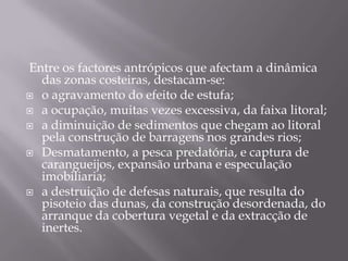  Entre os factores antrópicos que afectam a dinâmica das zonas costeiras, destacam-se:o agravamento do efeito de estufa; a ocupação, muitas vezes excessiva, da faixa litoral; a diminuição de sedimentos que chegam ao litoral pela construção de barragens nos grandes rios; Desmatamento, a pesca predatória, e captura de carangueijos, expansão urbana e especulação imobiliaria; a destruição de defesas naturais, que resulta do pisoteio das dunas, da construção desordenada, do arranque da cobertura vegetal e da extracção de inertes. 