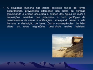 A ocupação humana nas zonas costeiras faz-se de forma desordenada, provocando alterações nos ciclos de abrasão (propiciando a erosão acelerada e avanço das águas do mar) e deposições marinhas que potenciam o risco geológico de desabamento de casas e edificações, ameaçando assim a vida humana e destruição de bens. Como consequências, também altera as rotas migratórias destruindo muitos habitats. 